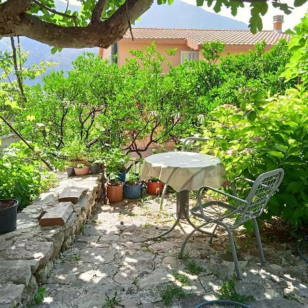 Sottomonte Apartment Kotor Bagian luar foto