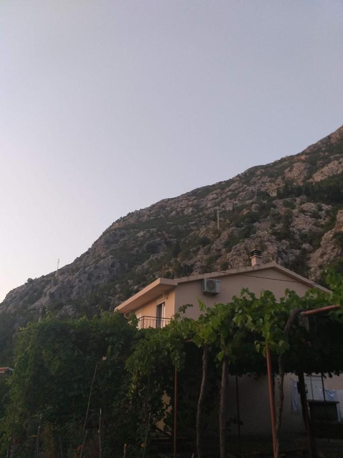 Sottomonte Apartment Kotor Bagian luar foto