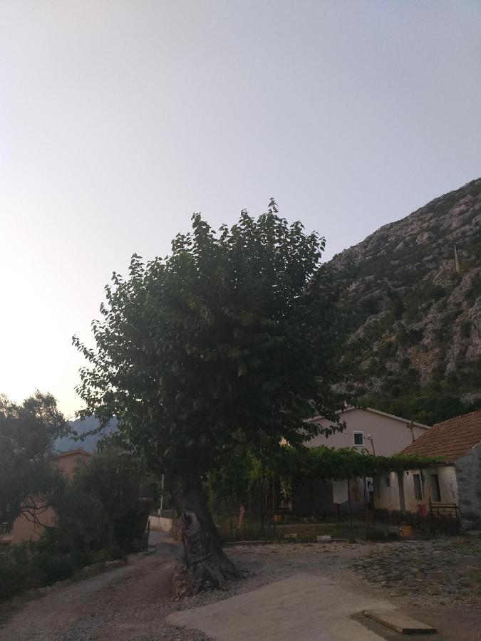 Sottomonte Apartment Kotor Bagian luar foto